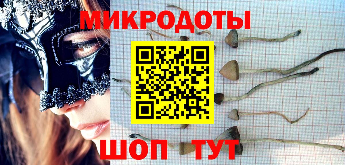 купить   Псилоцибиновые грибы Magic Shrooms  Вход с VPN  Новотроицк  Галлюциногенные грибы прущие грибы 
