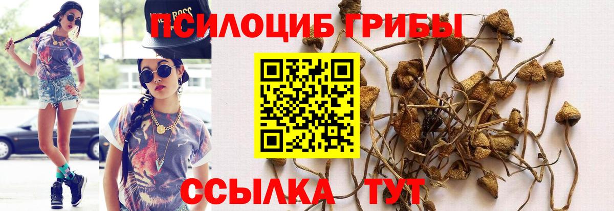 Псилоцибиновые грибы MAGIC MUSHROOMS Новотроицк